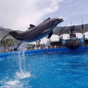 Meet your Posher, Russell